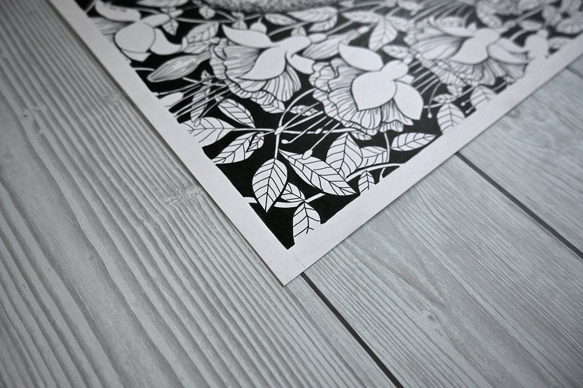Hummingbird garden, ink drawing - katerinamitkova