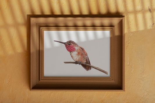 Hummingbird on a branch watercolor painting - katerinamitkova