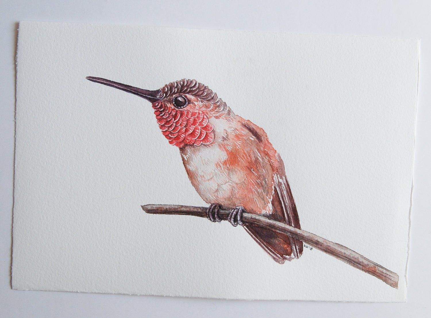 Hummingbird on a branch watercolor painting - katerinamitkova