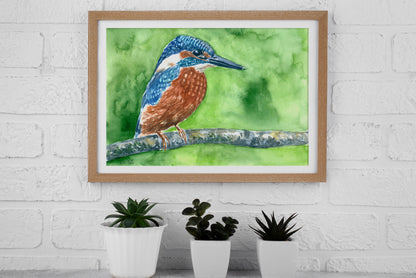 Kingfisher watercolor painting - katerinamitkova