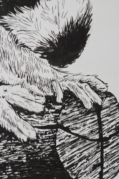 Lemur ink drawing - katerinamitkova