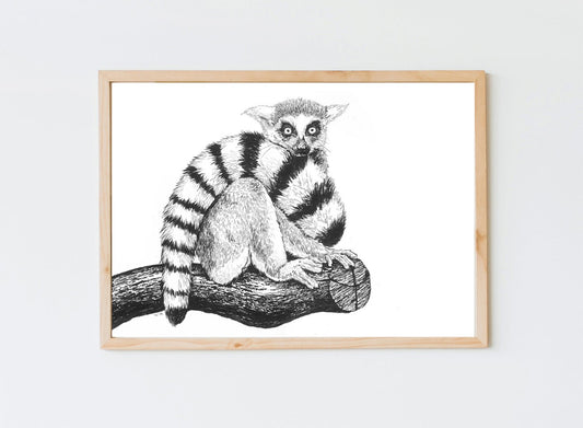 Lemur ink drawing - katerinamitkova