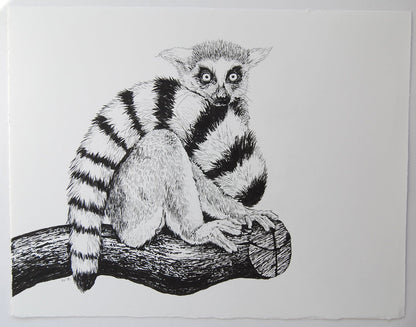 Lemur ink drawing - katerinamitkova