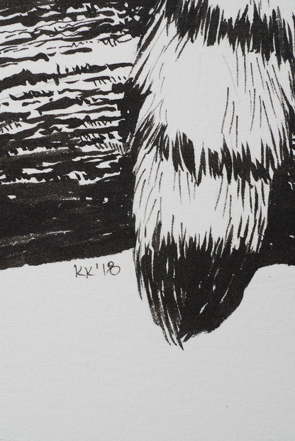 Lemur ink drawing - katerinamitkova