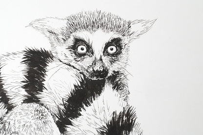 Lemur ink drawing - katerinamitkova