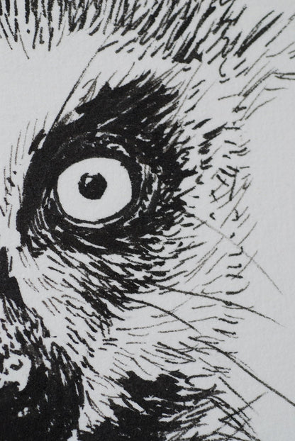 Lemur ink drawing - katerinamitkova