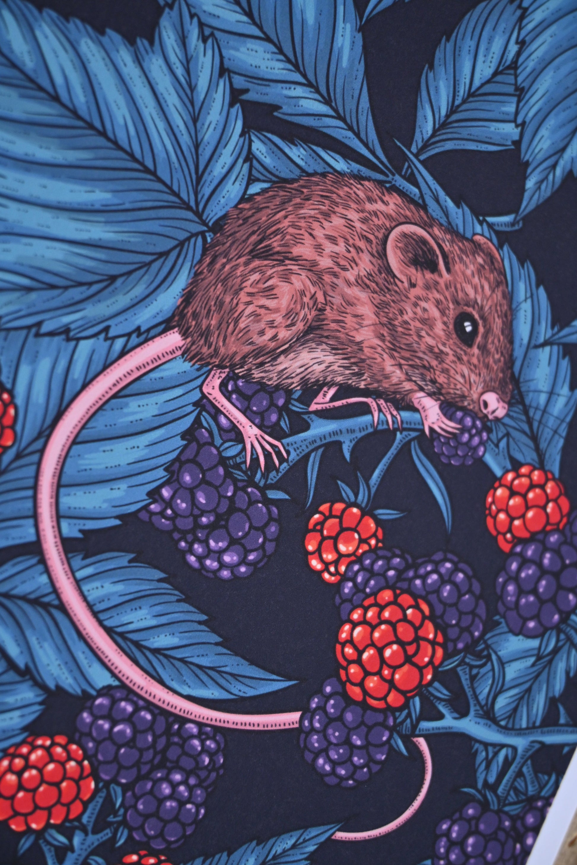 Mice and blackberries Print - katerinamitkova