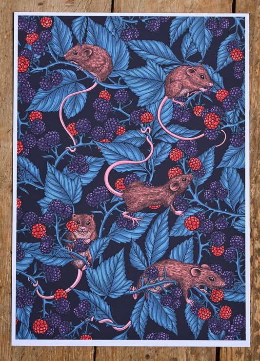 Mice and blackberries Print - katerinamitkova