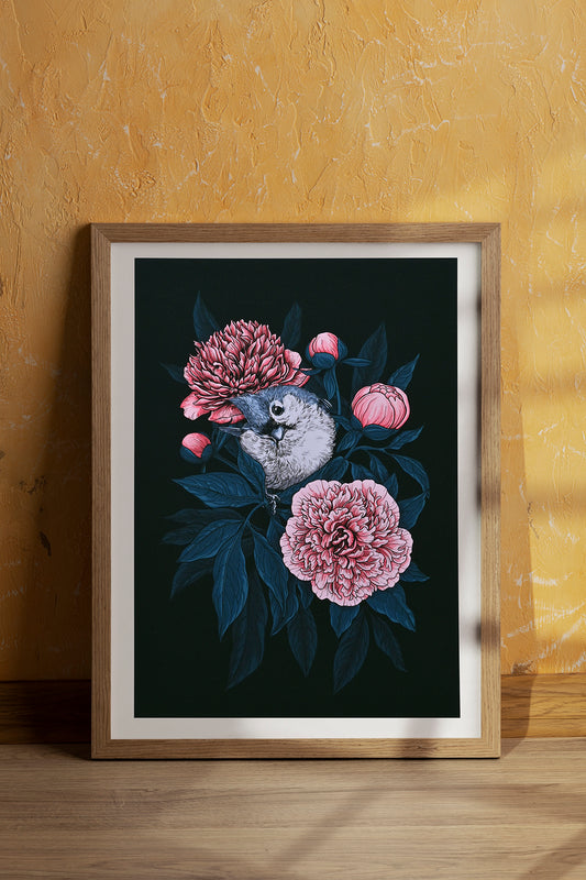 framed print of a titmouse bird on pink peony flowers with blue leaves on a black background