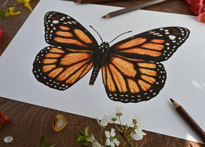 Monarch Butterfly Art Print - katerinamitkova