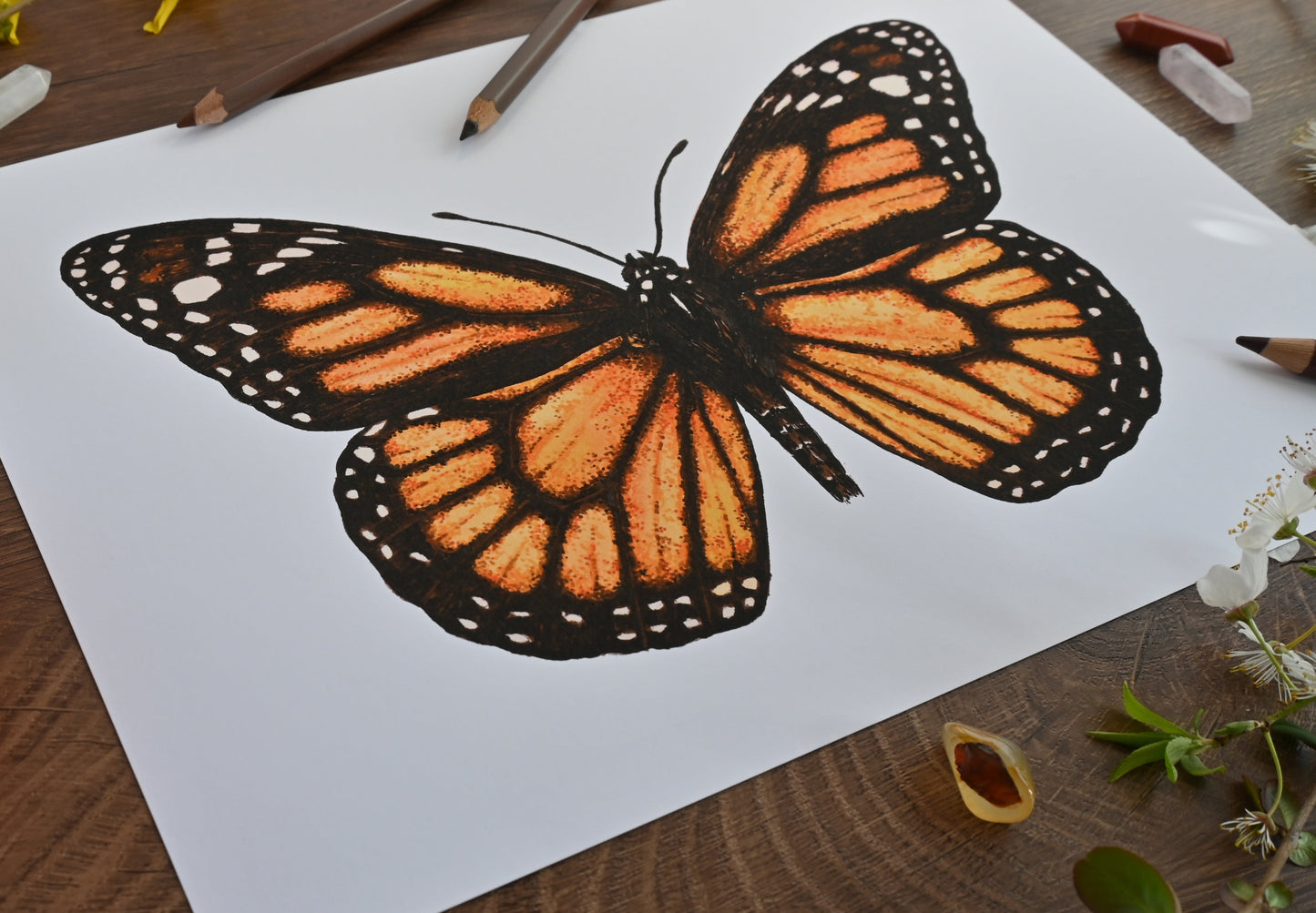 Monarch Butterfly Art Print - katerinamitkova