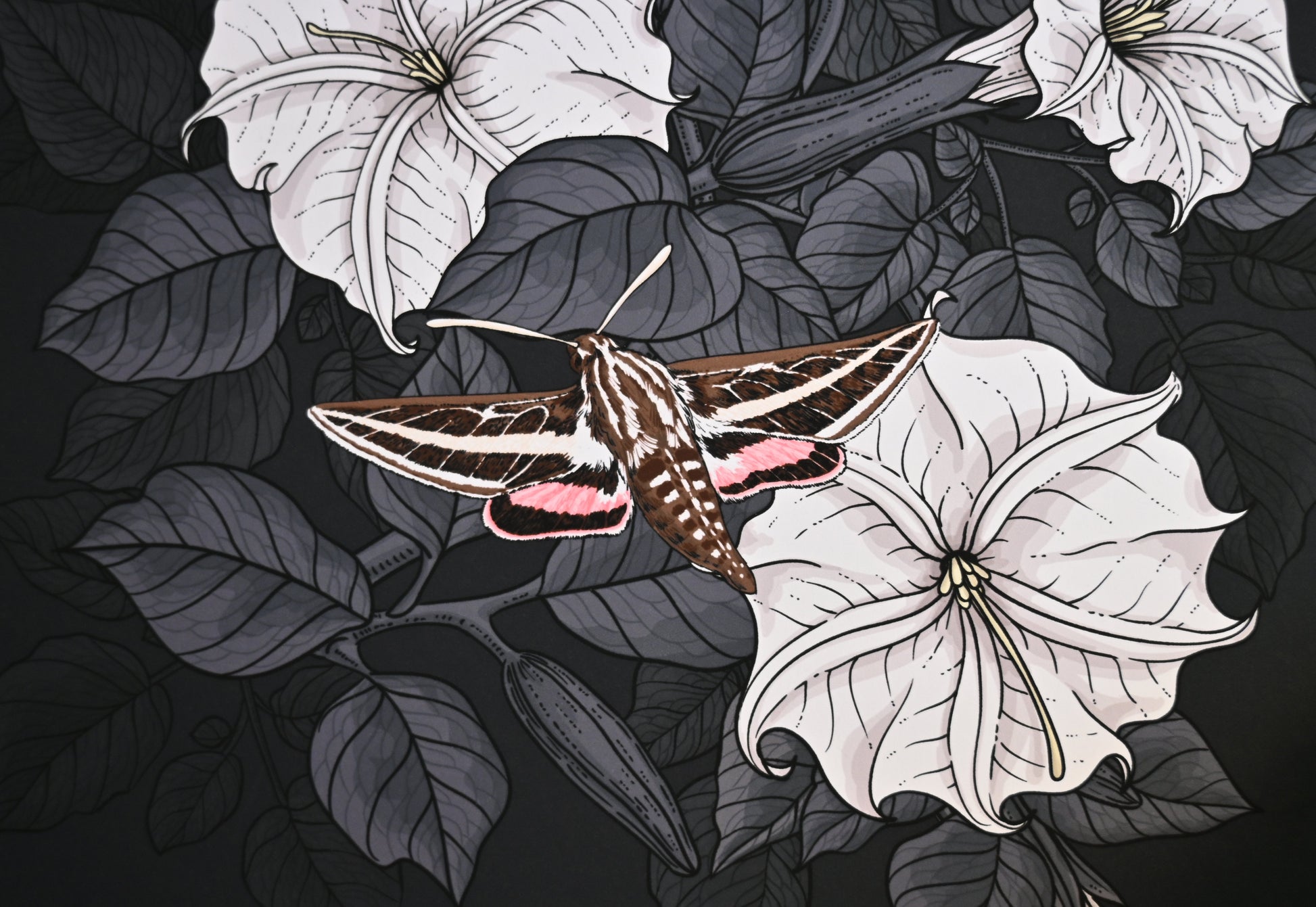 Moonflowers and moths Art Print - katerinamitkova