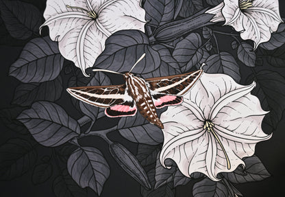 Moonflowers and moths Art Print - katerinamitkova