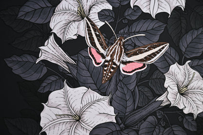 Moonflowers and moths Art Print - katerinamitkova