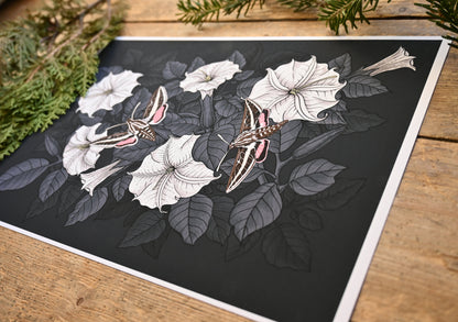 Moonflowers and moths Art Print - katerinamitkova