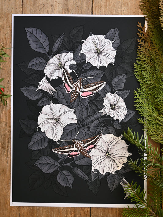 Moonflowers and moths Art Print - katerinamitkova
