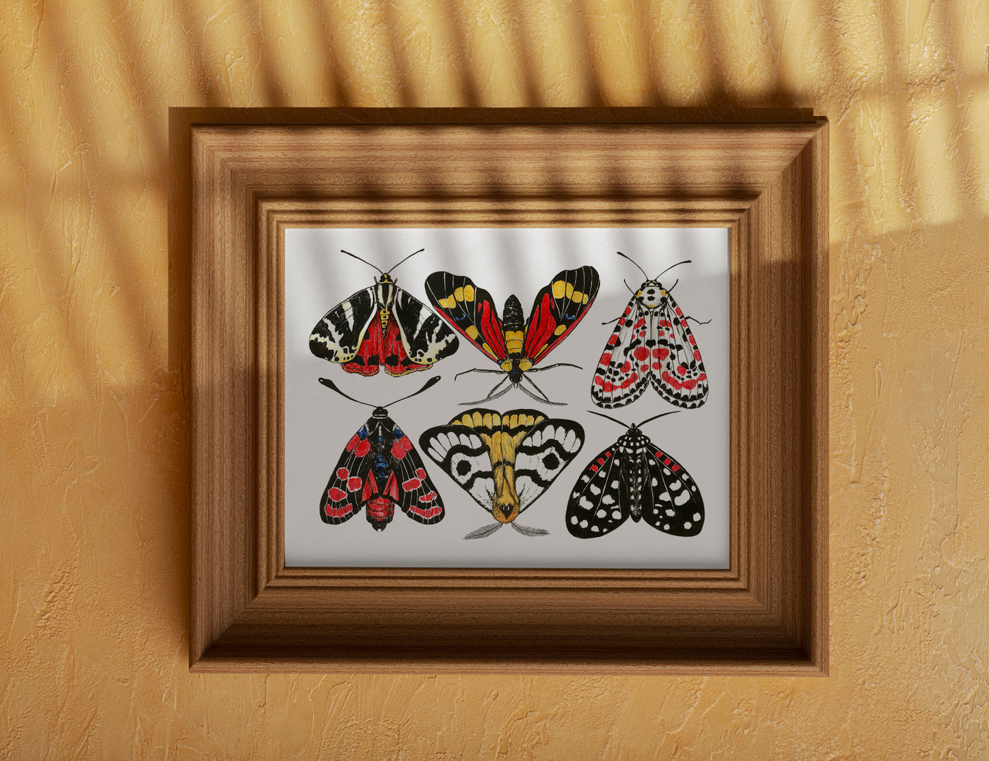 Framed artwork of colorful moths on a mustard yellow wall