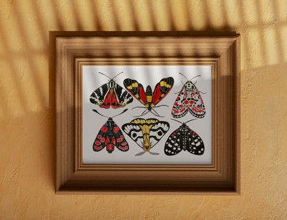 Framed artwork of colorful moths on a mustard yellow wall