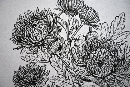 Mums and redstart ink drawing - katerinamitkova