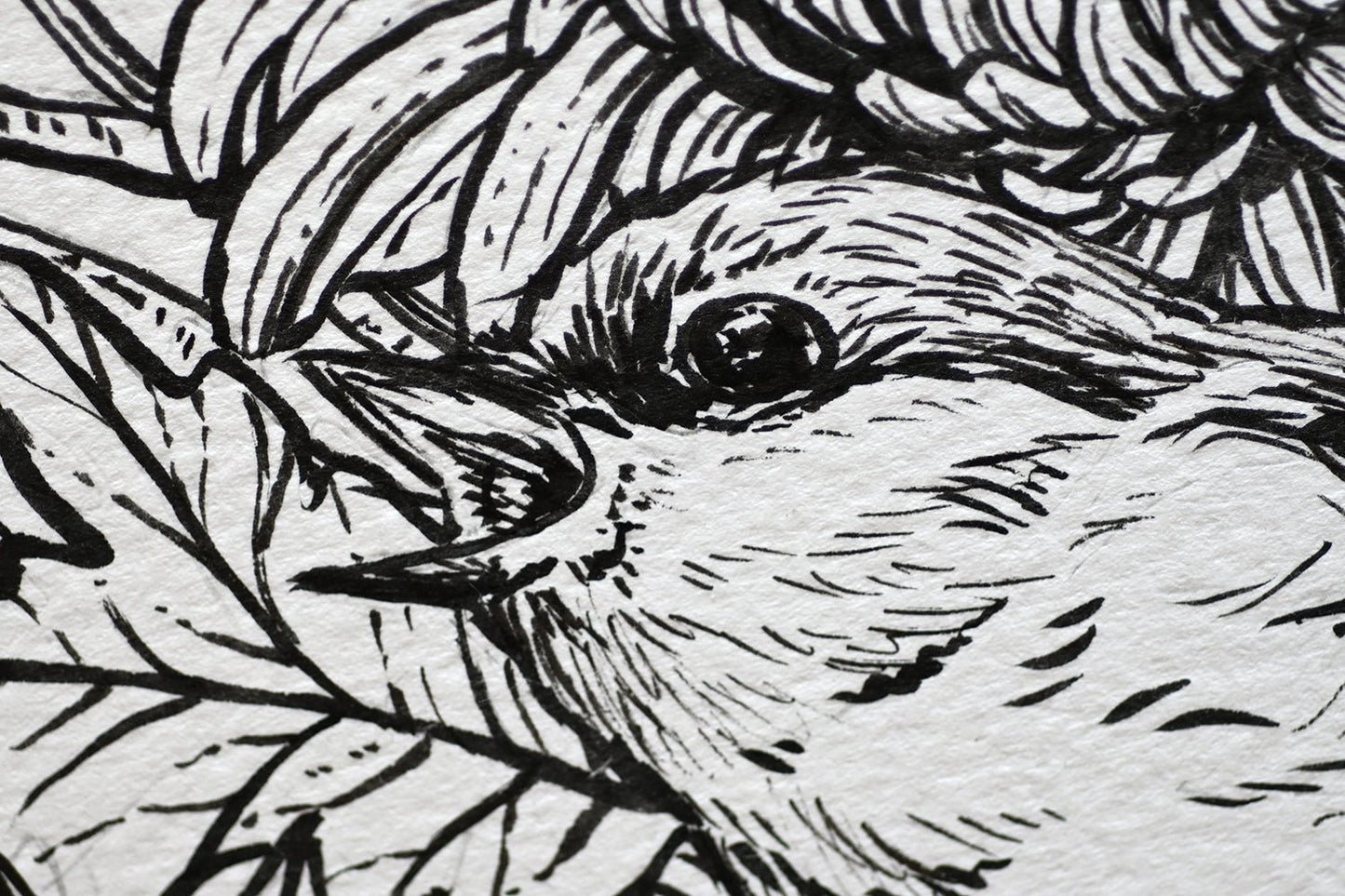 Mums and redstart ink drawing - katerinamitkova