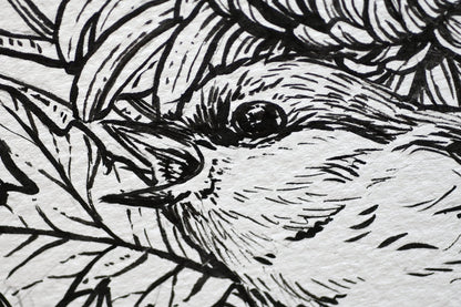 Mums and redstart ink drawing - katerinamitkova