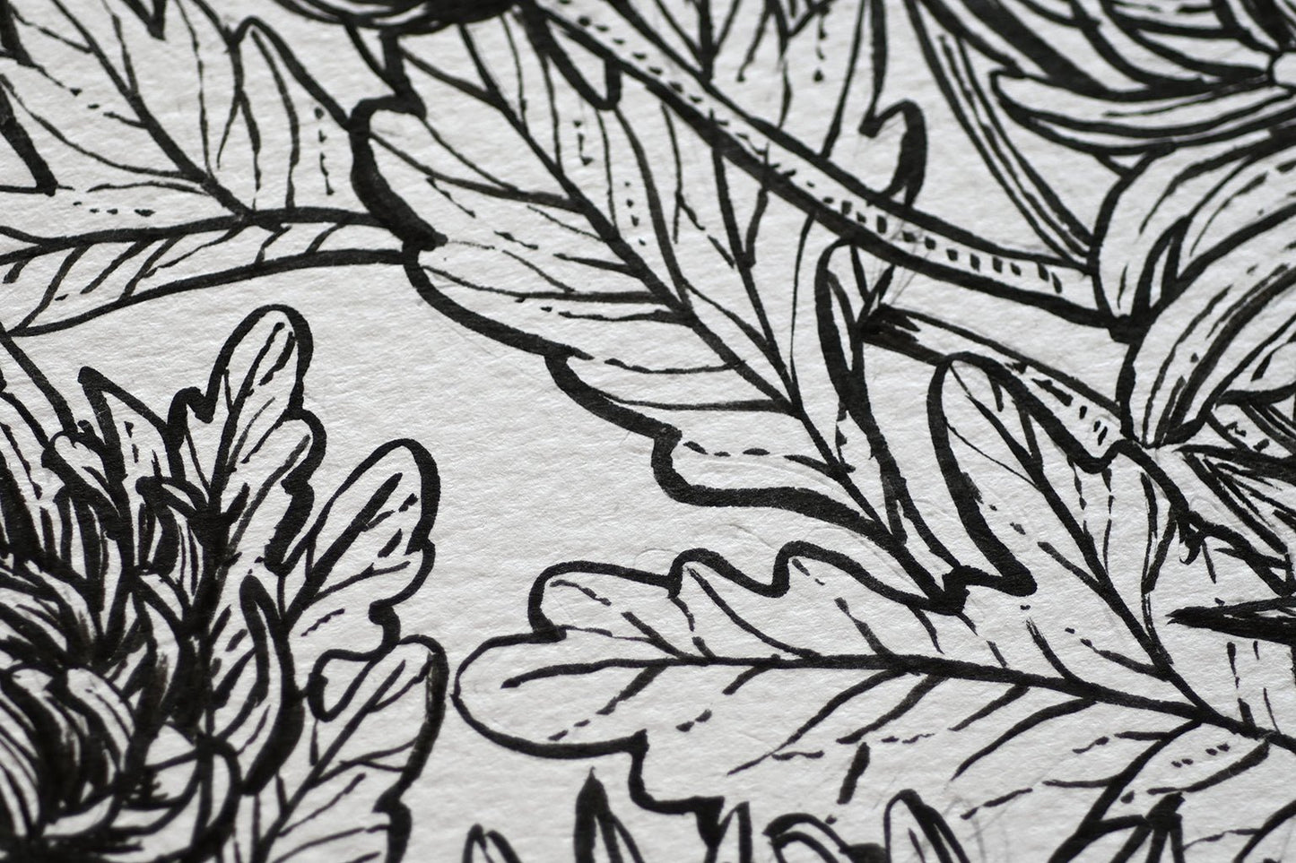Mums and redstart ink drawing - katerinamitkova