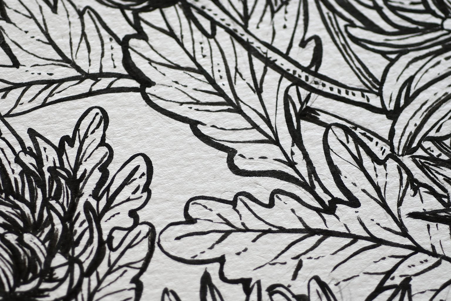 Mums and redstart ink drawing - katerinamitkova