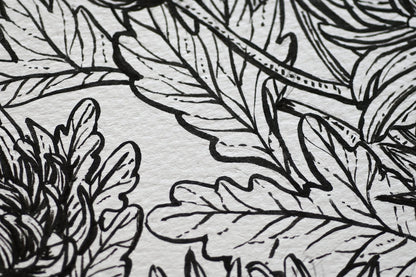 Mums and redstart ink drawing - katerinamitkova