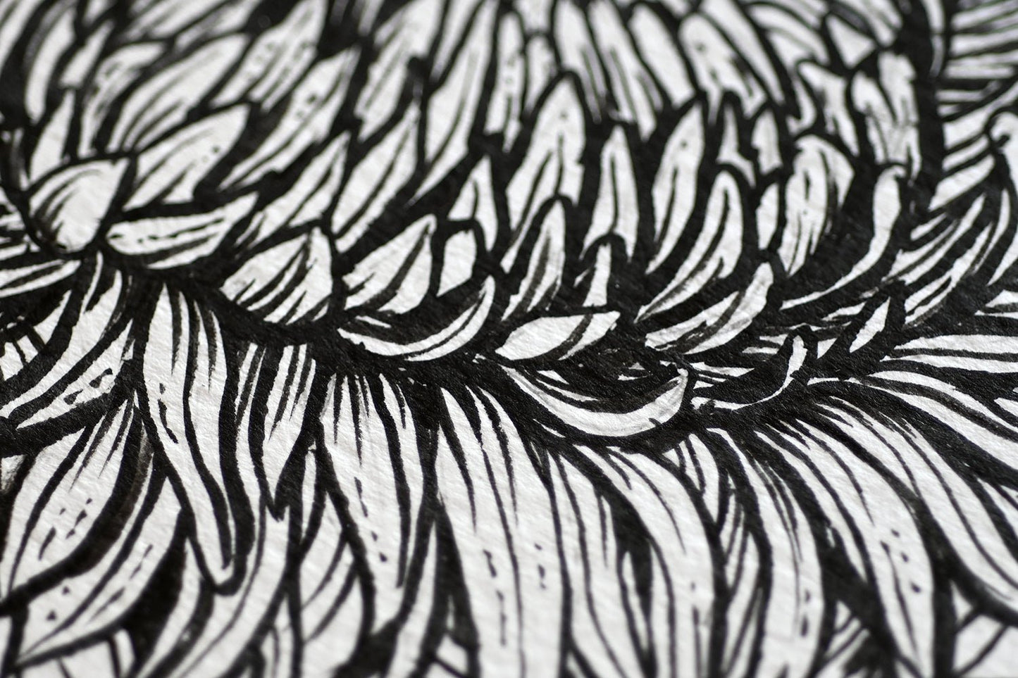 Mums and redstart ink drawing - katerinamitkova