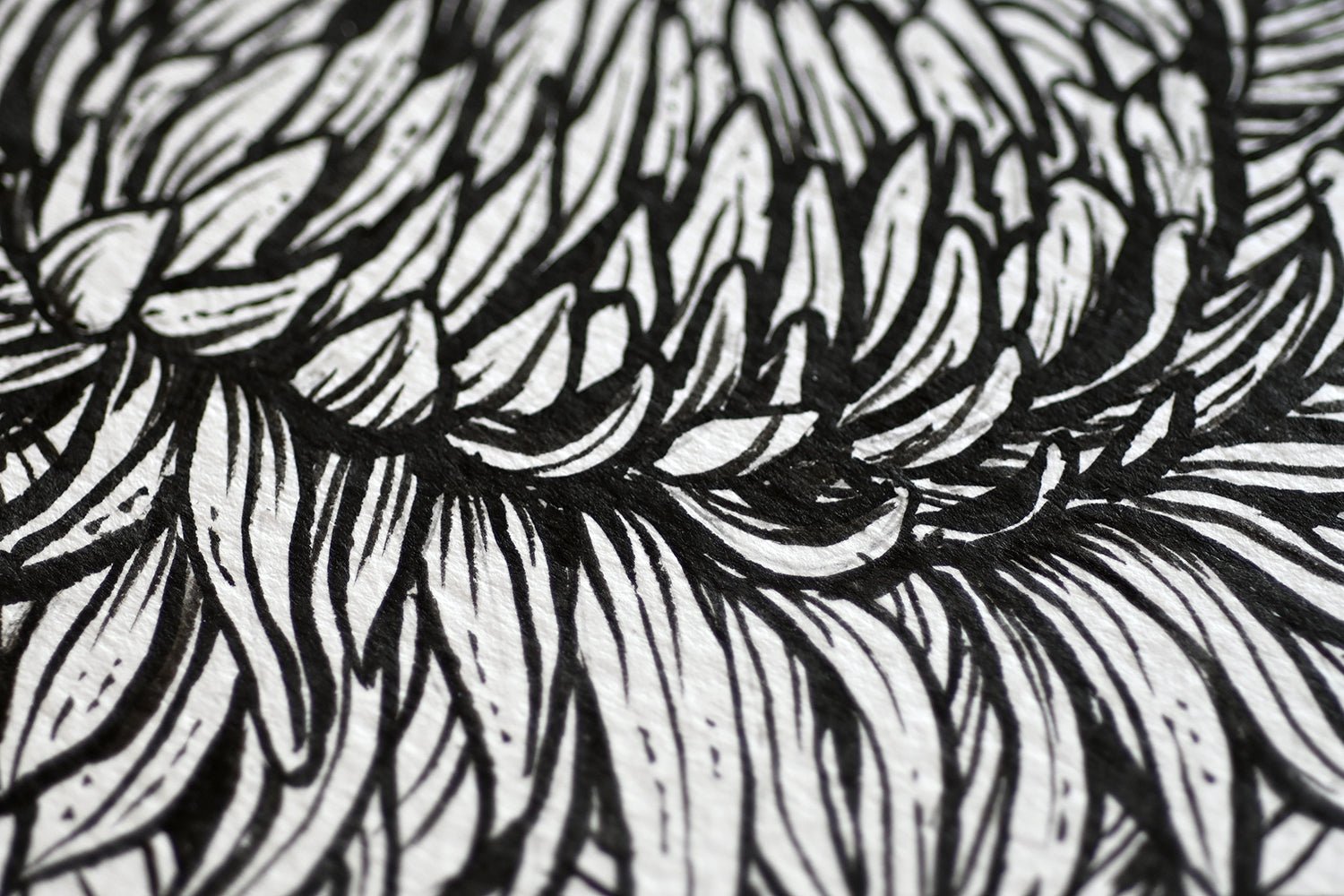 Mums and redstart ink drawing - katerinamitkova