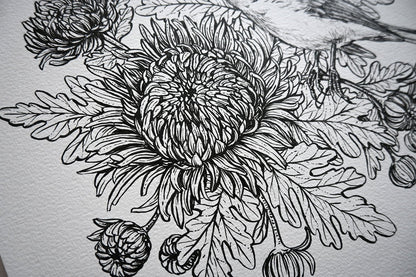 Mums and redstart ink drawing - katerinamitkova