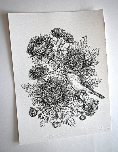 Mums and redstart ink drawing - katerinamitkova