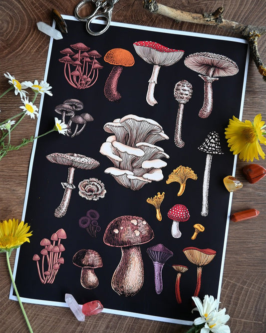 Mushrooms art print - katerinamitkova