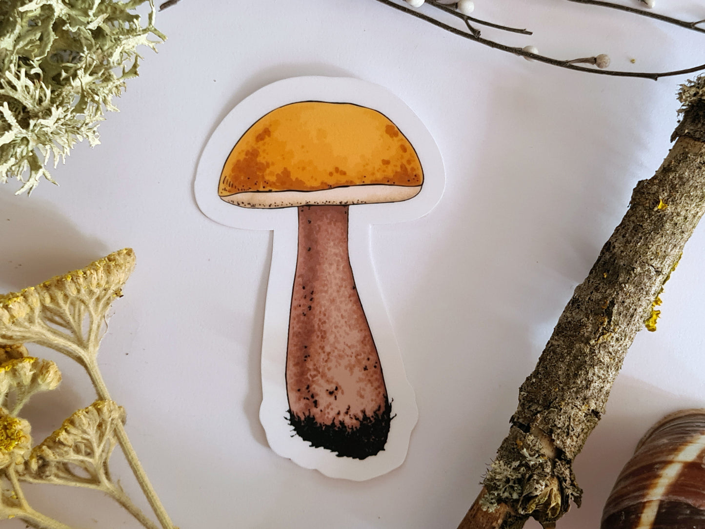 photo of a sticker featuring illustrated orange bolete mushroom