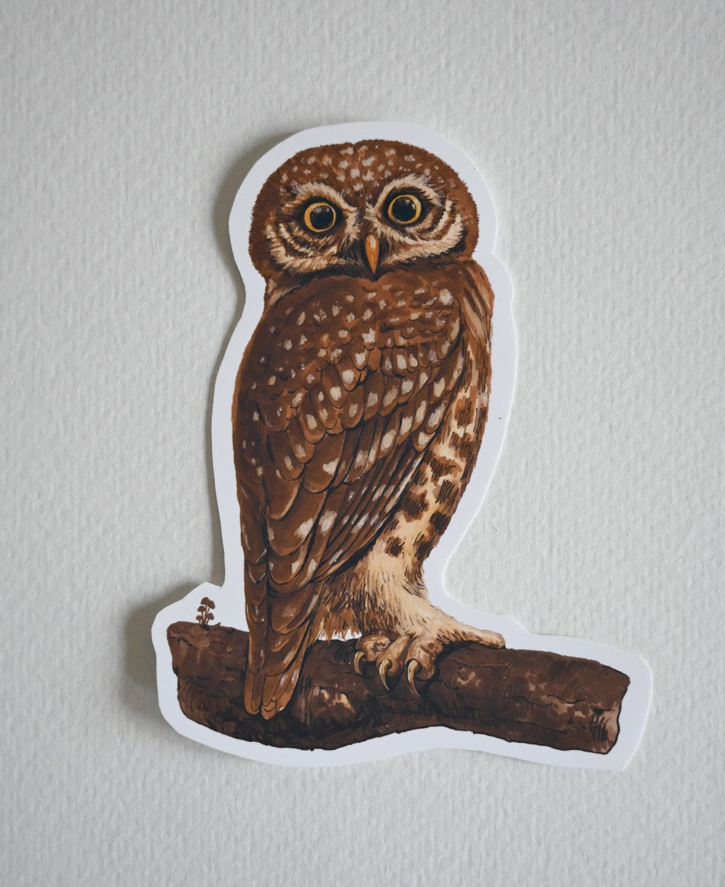 Owl vinyl stickers - katerinamitkova