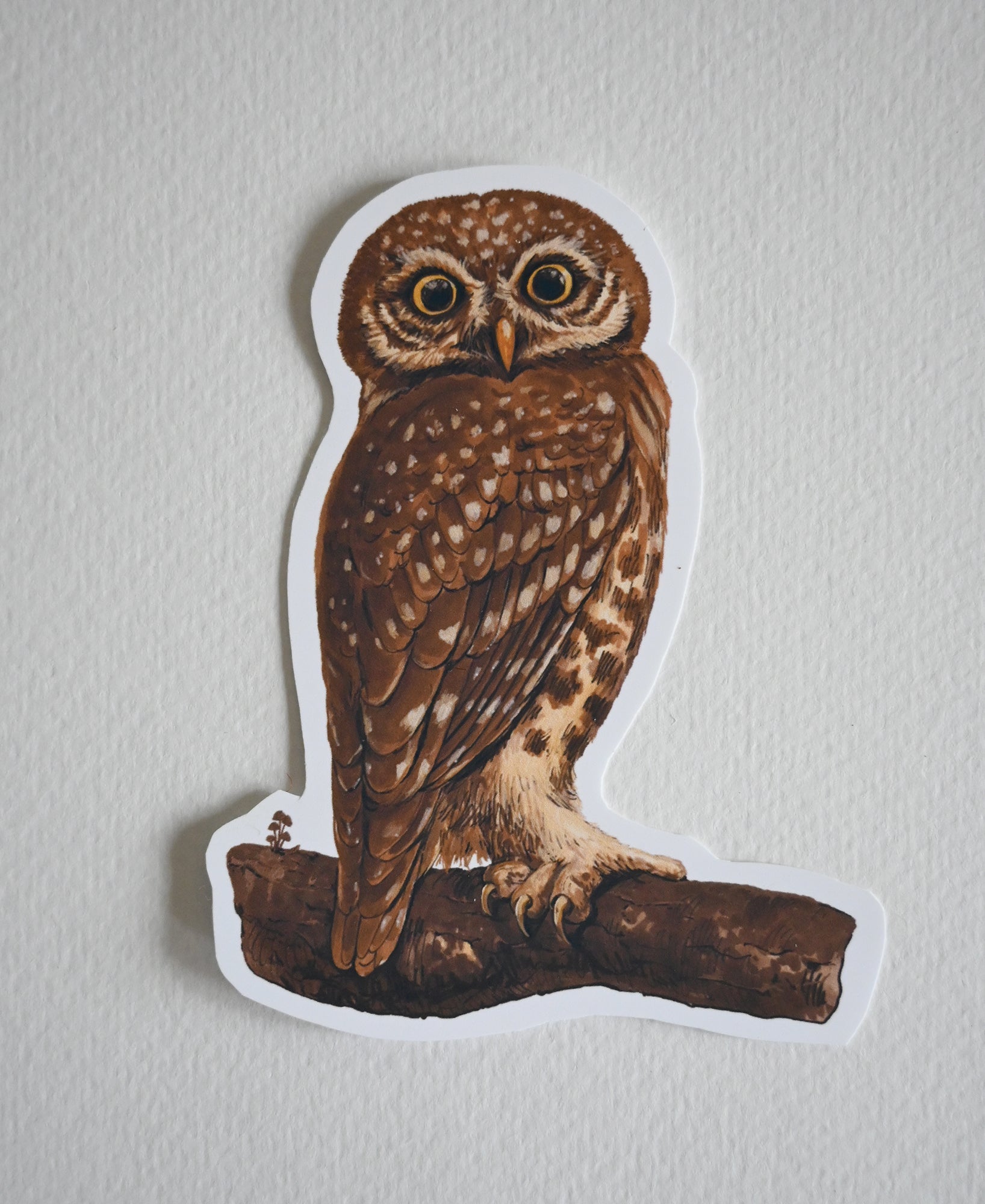 Owl vinyl stickers - katerinamitkova