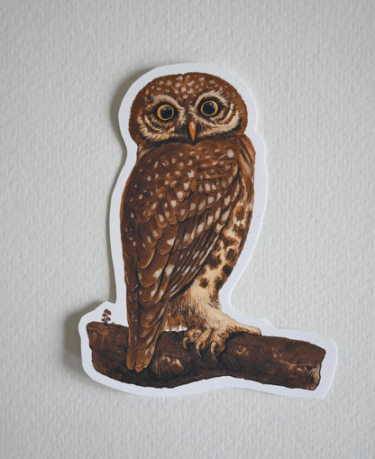 Owl vinyl stickers - katerinamitkova