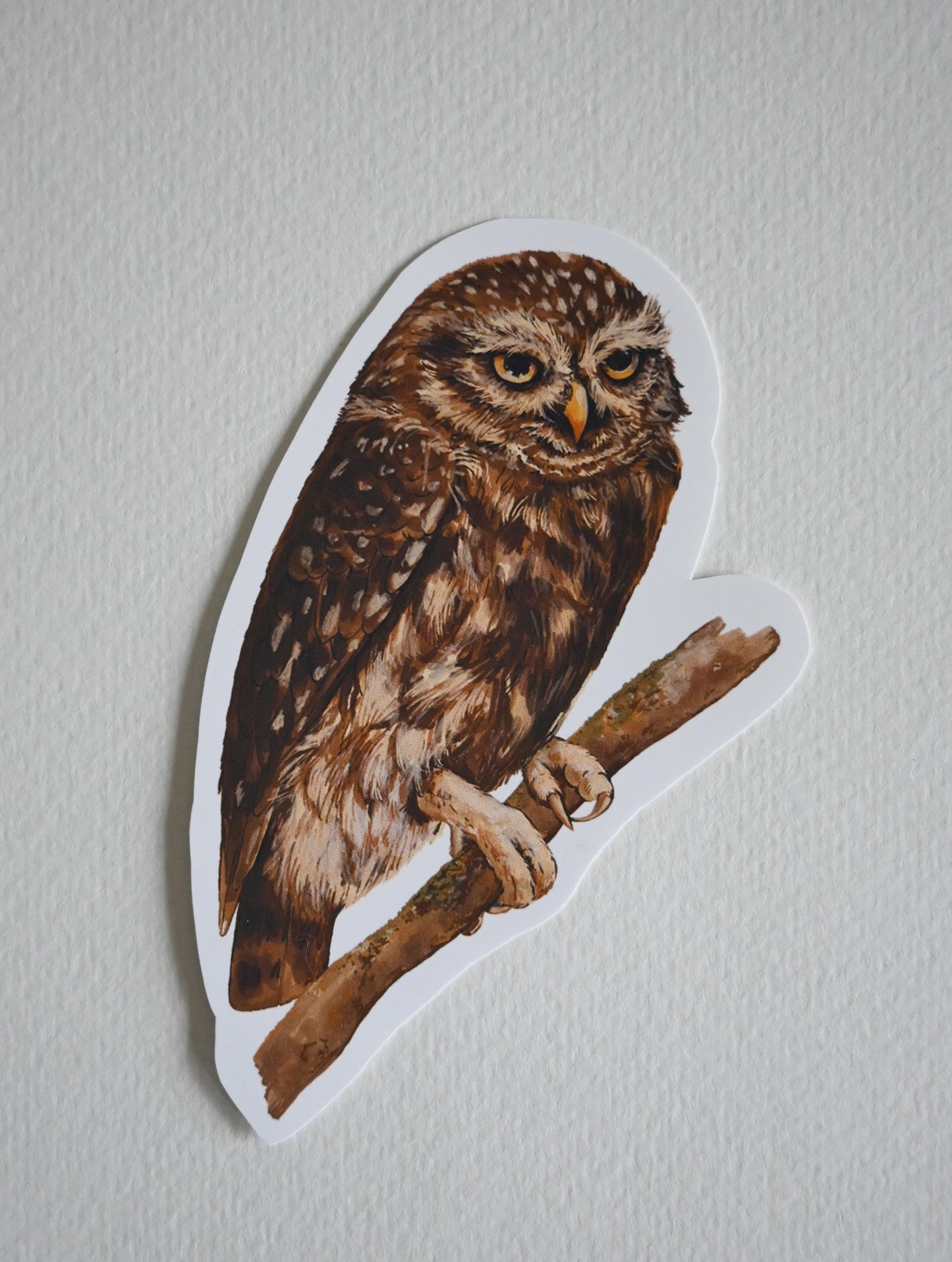 Owl vinyl stickers - katerinamitkova