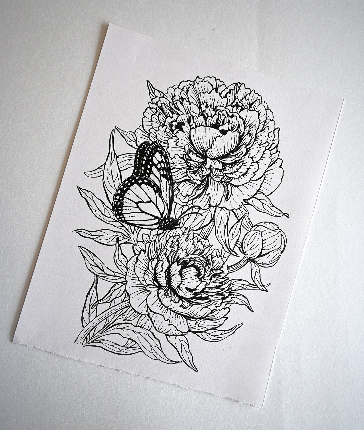 Peonies and monarch butterfly ink drawing - katerinamitkova
