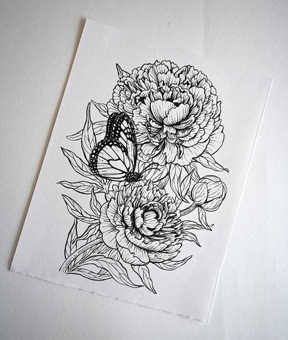 Peonies and monarch butterfly ink drawing - katerinamitkova