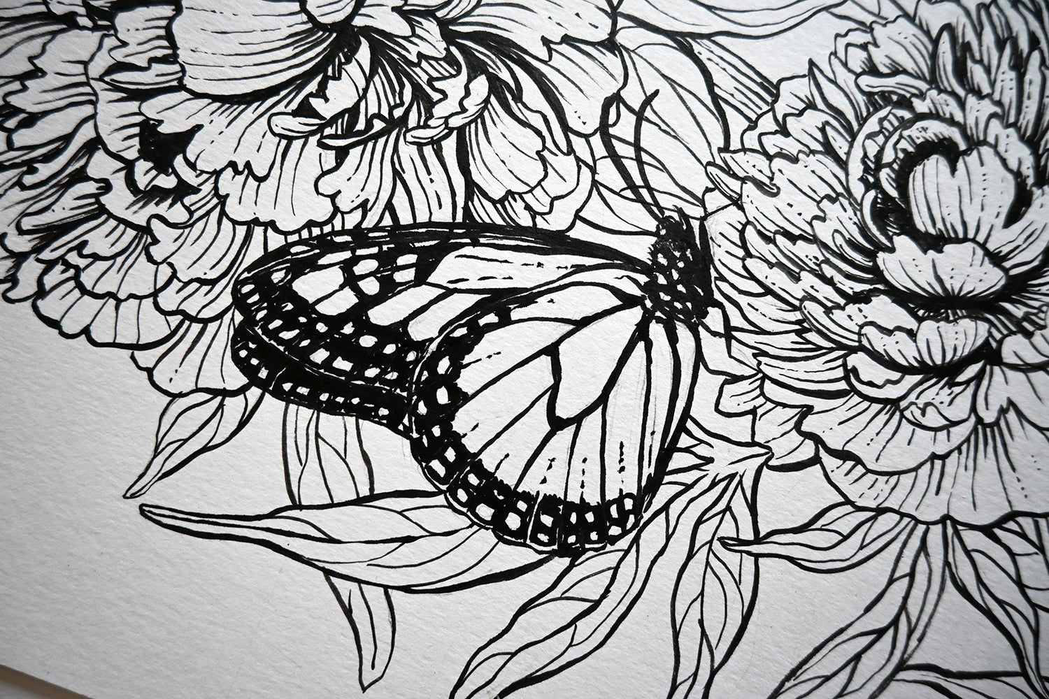 Peonies and monarch butterfly ink drawing - katerinamitkova