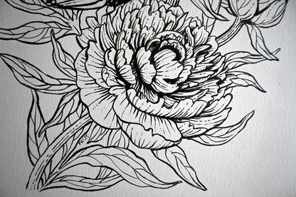 Peonies and monarch butterfly ink drawing - katerinamitkova