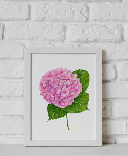 Framed artwork of a pink  hydrangea flower with green leaves on a white brick wall background