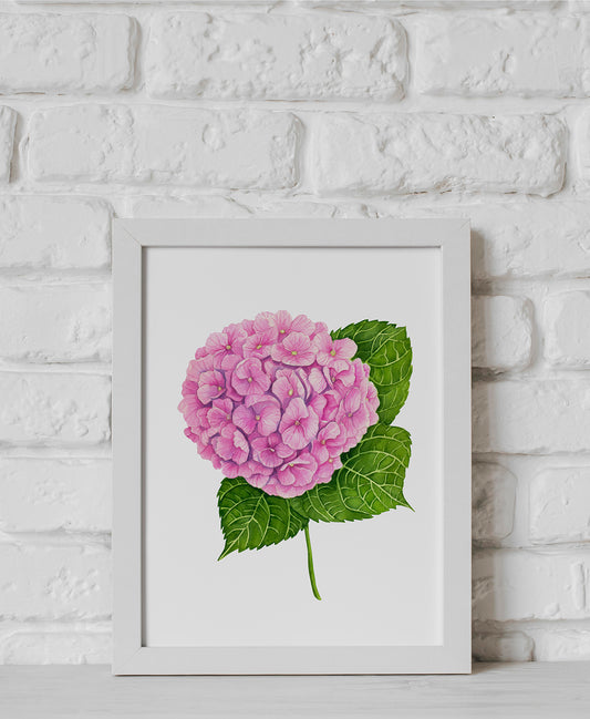 Framed artwork of a pink  hydrangea flower with green leaves on a white brick wall background