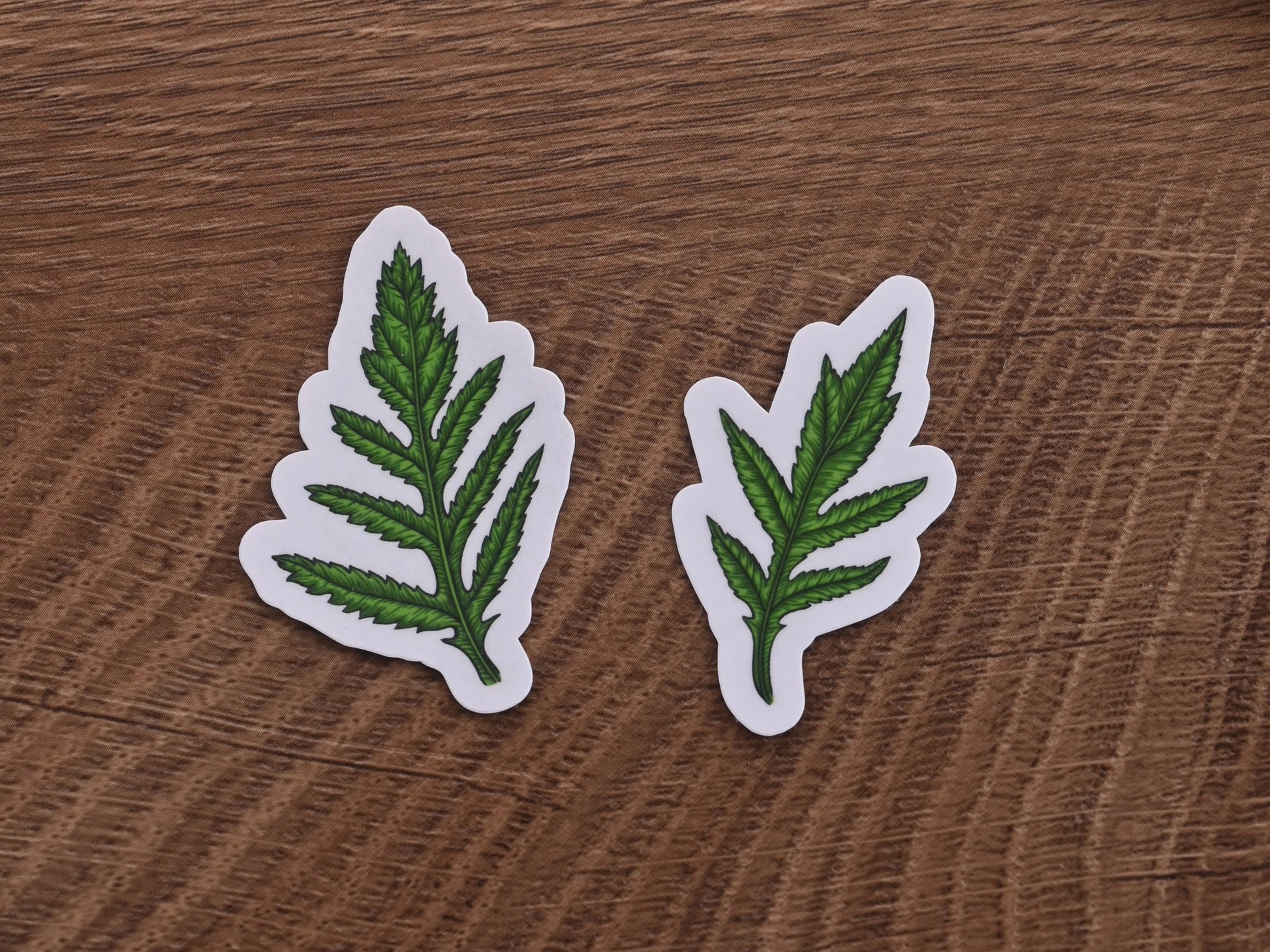 Poppies journal stickers - katerinamitkova