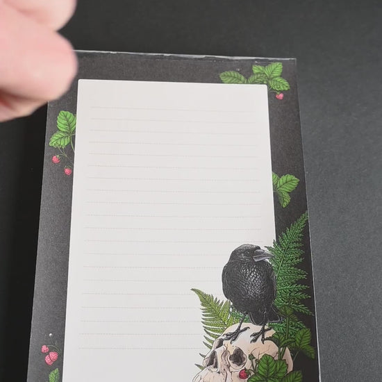 video featuring a notepad illustrated with Raven and skull 