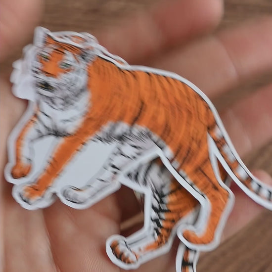Video showing 2 vinyl stickers of tigers