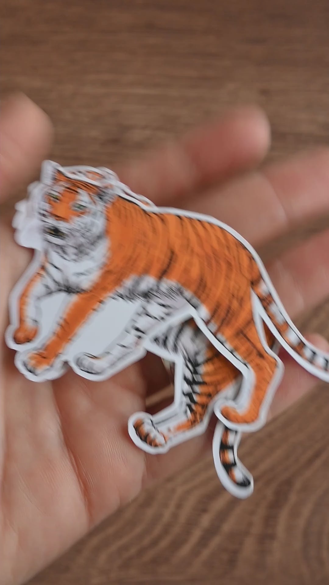 Video showing 2 vinyl stickers of tigers