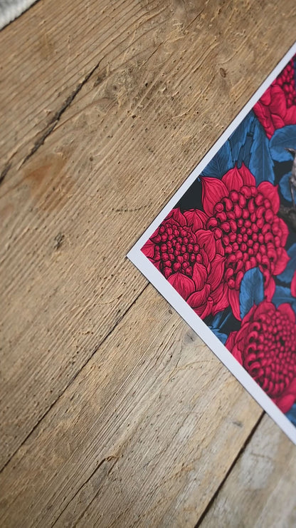 video of a giclee print of Red waratah and fairy wrens illustration 