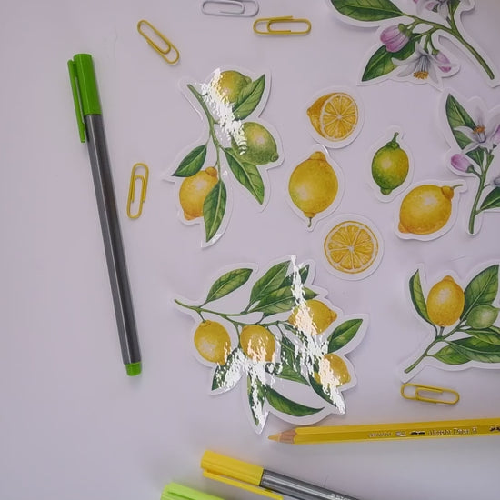 video featuring my 2 sticker sets with lemons and lemon branches with fruit, blooms and leaves painted with watercolorsvideo featuring my 2 sticker sets with lemons and lemon branches with fruit, blooms and leaves painted with watercolors